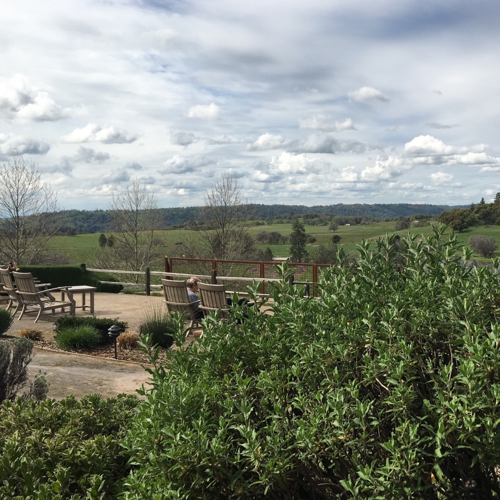 Meet your Posher, Cheryl